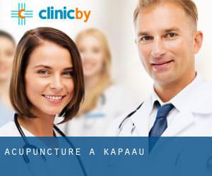 Acupuncture à Kapaau