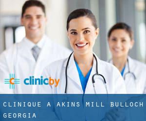 clinique à Akins Mill (Bulloch, Georgia)