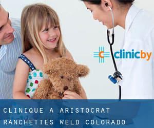 clinique à Aristocrat Ranchettes (Weld, Colorado)