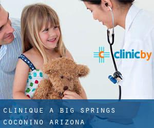 clinique à Big Springs (Coconino, Arizona)