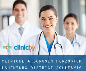 clinique à Börnsen (Herzogtum Lauenburg District, Schleswig-Holstein)
