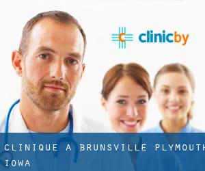 clinique à Brunsville (Plymouth, Iowa)