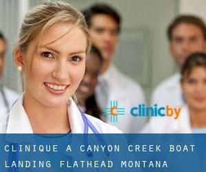 clinique à Canyon Creek Boat Landing (Flathead, Montana)