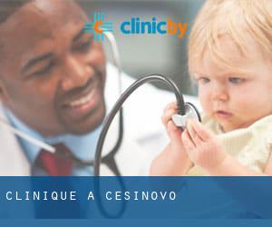 clinique à Češinovo