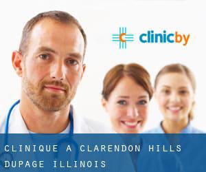 clinique à Clarendon Hills (DuPage, Illinois)
