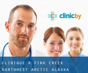 clinique à Fink Creek (Northwest Arctic, Alaska)