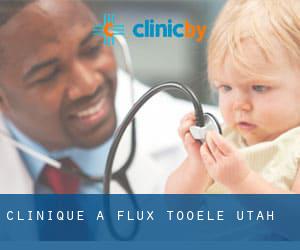 clinique à Flux (Tooele, Utah)