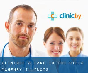 clinique à Lake in the Hills (McHenry, Illinois)