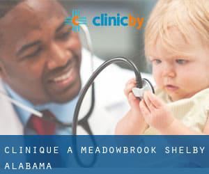 clinique à Meadowbrook (Shelby, Alabama)