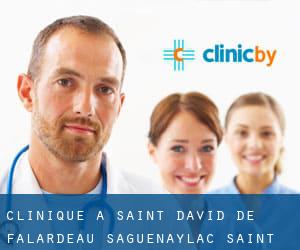 clinique à Saint-David-de-Falardeau (Saguenay/Lac-Saint-Jean, Québec)
