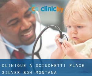 clinique à Sciuchetti Place (Silver Bow, Montana)