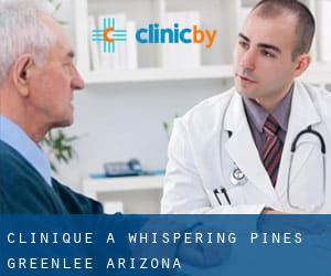 clinique à Whispering Pines (Greenlee, Arizona)