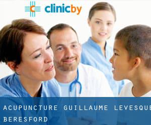 Acupuncture Guillaume Levesque (Beresford)
