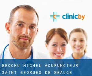 Brochu Michel Acupuncteur (Saint-Georges-de-Beauce)