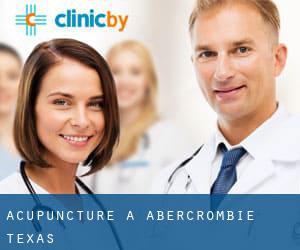 Acupuncture à Abercrombie (Texas)
