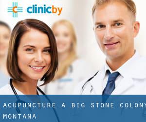 Acupuncture à Big Stone Colony (Montana)