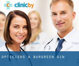 Opticiens à Burgreen Gin