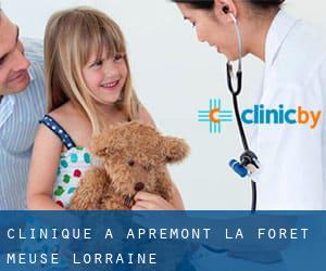 clinique à Apremont-la-Forêt (Meuse, Lorraine)