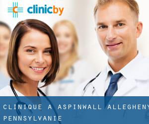 clinique à Aspinwall (Allegheny, Pennsylvanie)