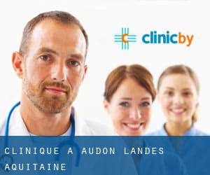clinique à Audon (Landes, Aquitaine)