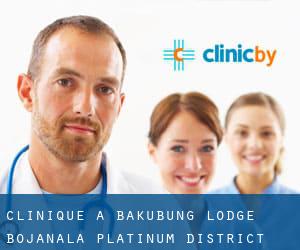 clinique à Bakubung Lodge (Bojanala Platinum District Municipality, North-West)