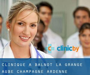 clinique à Balnot-la-Grange (Aube, Champagne-Ardenne)