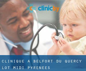 clinique à Belfort-du-Quercy (Lot, Midi-Pyrénées)