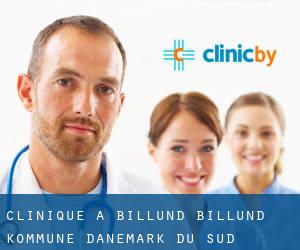 clinique à Billund (Billund Kommune, Danemark-du-Sud)
