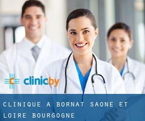 clinique à Bornat (Saône-et-Loire, Bourgogne)