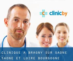 clinique à Bragny-sur-Saône (Saône-et-Loire, Bourgogne)