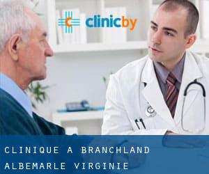 clinique à Branchland (Albemarle, Virginie)