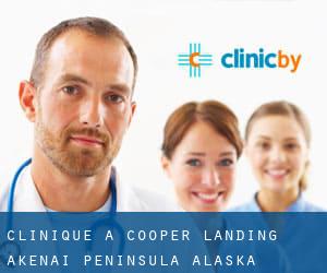 clinique à Cooper Landing (AKenai Peninsula, Alaska)