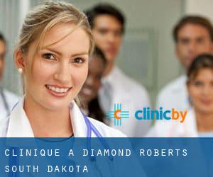 clinique à Diamond (Roberts, South Dakota)