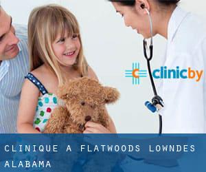 clinique à Flatwoods (Lowndes, Alabama)