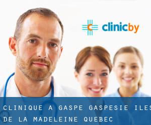 clinique à Gaspé (Gaspésie-Îles-de-la-Madeleine, Québec)