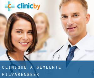 clinique à Gemeente Hilvarenbeek