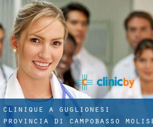 clinique à Guglionesi (Provincia di Campobasso, Molise)