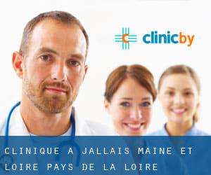 clinique à Jallais (Maine-et-Loire, Pays de la Loire)