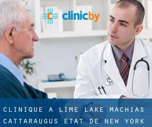 clinique à Lime Lake-Machias (Cattaraugus, État de New York)