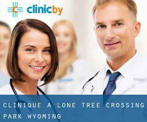 clinique à Lone Tree Crossing (Park, Wyoming)