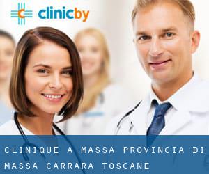 clinique à Massa (Provincia di Massa-Carrara, Toscane)