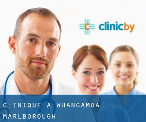 clinique à Whangamoa (Marlborough)