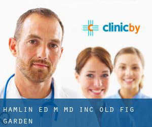 Hamlin Ed M MD Inc (Old Fig Garden)