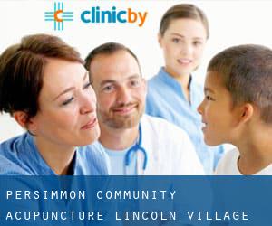 Persimmon Community Acupuncture (Lincoln Village)